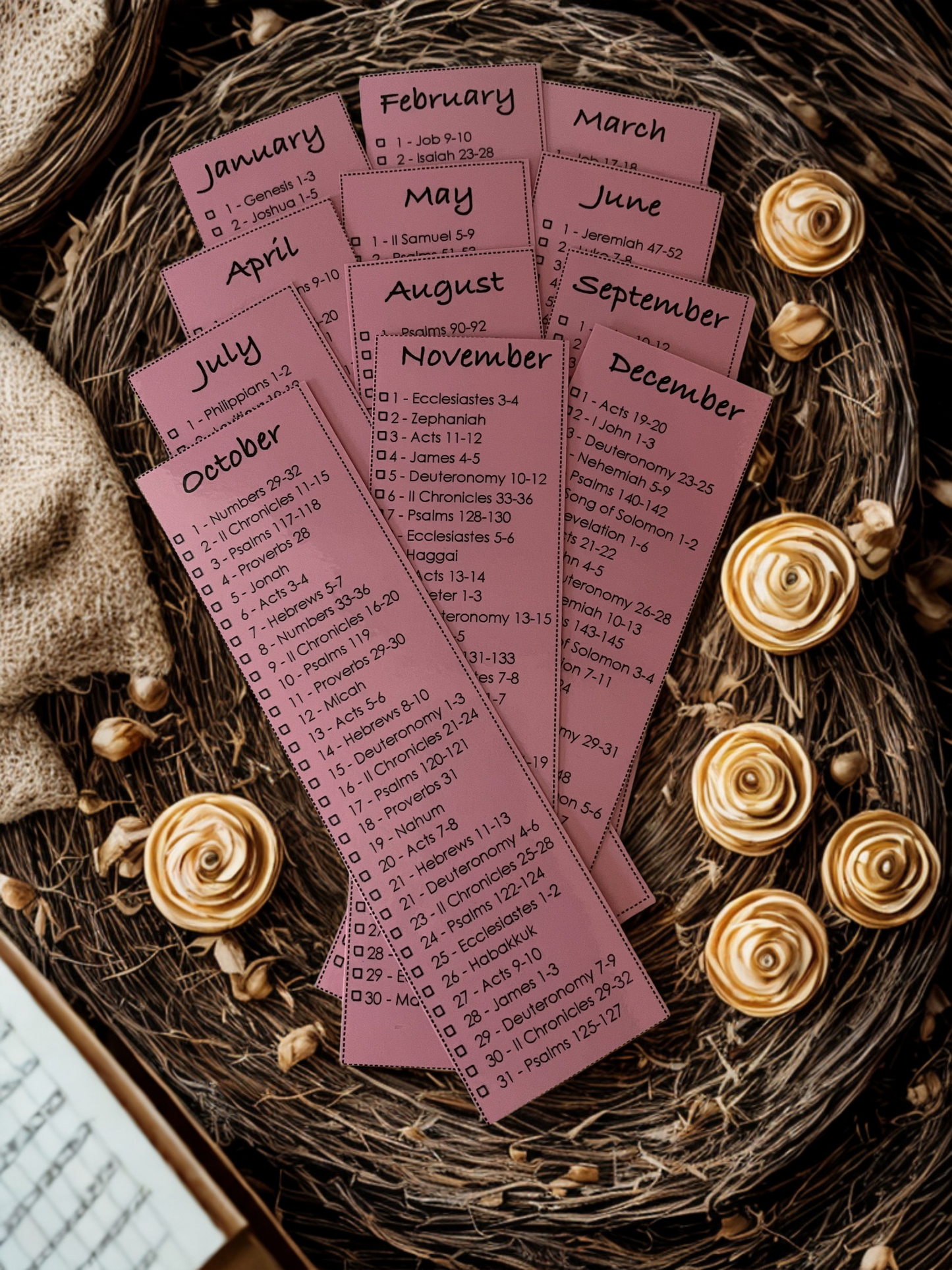 Bible Reading Plan Bookmarks