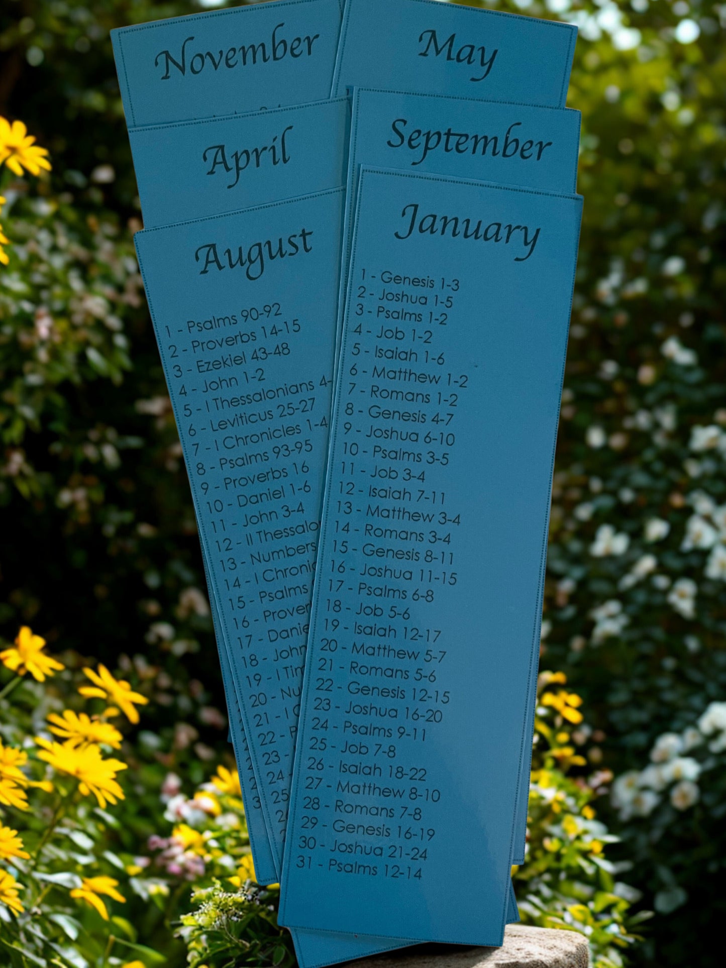 Bible Reading Plan Bookmarks