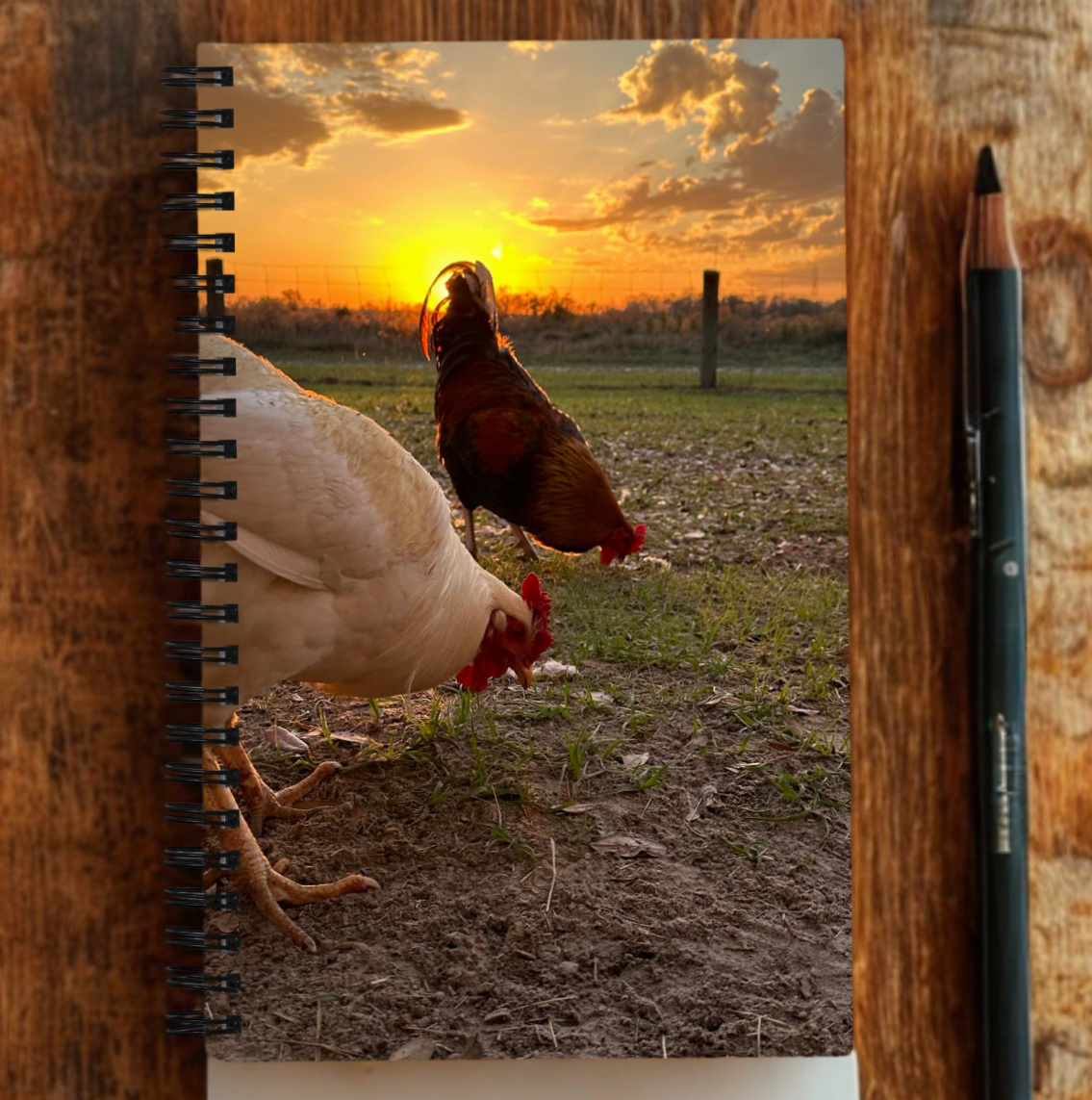 Sunset Chickens Notebook – Farmhouse Charm Meets Golden Hour Beauty